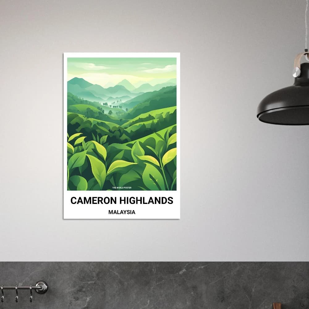 Affiche CAMERON HIGHLANDS - Image 4 of 6